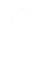 giornale/TO00185079/1873/P.2/00000004