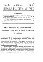 giornale/TO00185079/1873/P.2/00000101