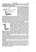 giornale/TO00185102/1866/unico/00000051