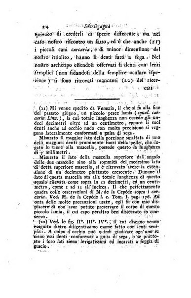 Giornale dell'italiana letteratura