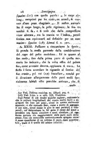 Giornale dell'italiana letteratura