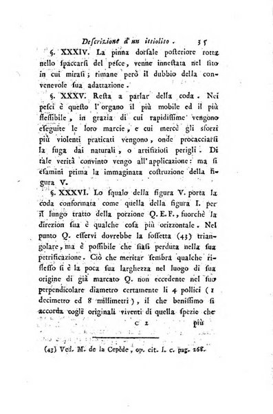 Giornale dell'italiana letteratura