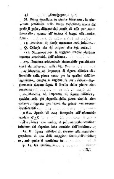 Giornale dell'italiana letteratura