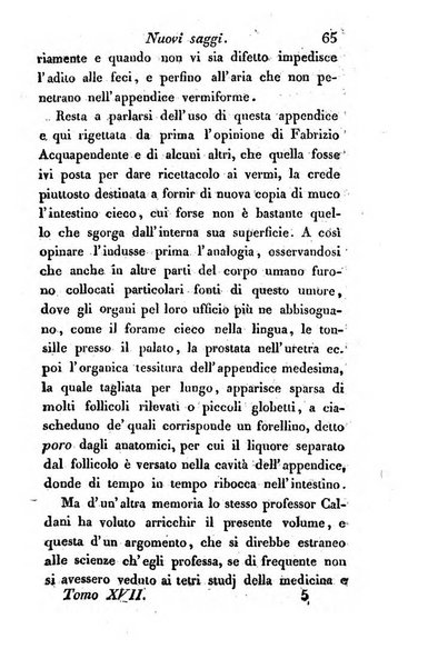 Giornale dell'italiana letteratura