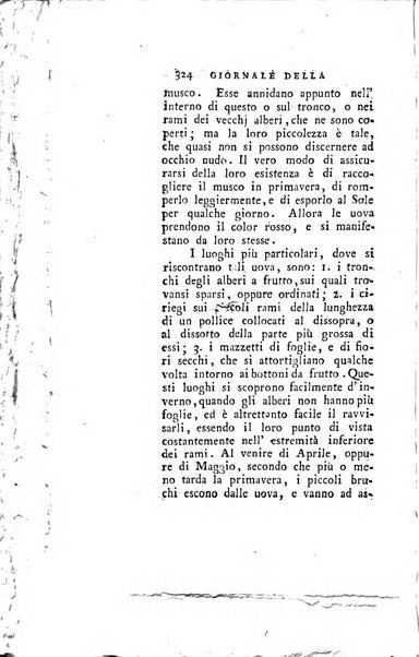 Giornale della letteratura straniera