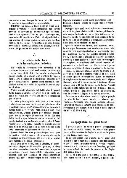 Giornale di agricoltura pratica organo ufficiale della Regia Stazione enologica sperimentale di Asti, della Regia Scuola di viticoltura, enologia e pomologia di Alba, della Regia Scuola agraria di Caluso e dei Comizi agrari di Asti e Alba