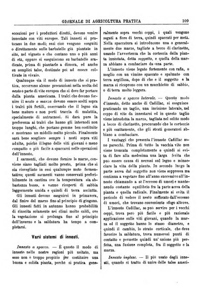 Giornale di agricoltura pratica organo ufficiale della Regia Stazione enologica sperimentale di Asti, della Regia Scuola di viticoltura, enologia e pomologia di Alba, della Regia Scuola agraria di Caluso e dei Comizi agrari di Asti e Alba