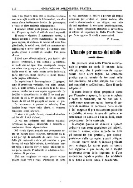 Giornale di agricoltura pratica organo ufficiale della Regia Stazione enologica sperimentale di Asti, della Regia Scuola di viticoltura, enologia e pomologia di Alba, della Regia Scuola agraria di Caluso e dei Comizi agrari di Asti e Alba