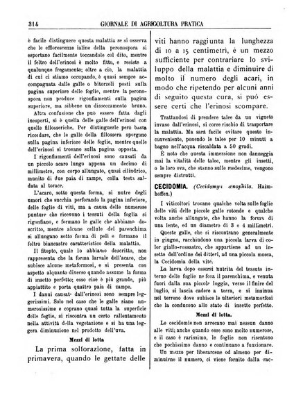 Giornale di agricoltura pratica organo ufficiale della Regia Stazione enologica sperimentale di Asti, della Regia Scuola di viticoltura, enologia e pomologia di Alba, della Regia Scuola agraria di Caluso e dei Comizi agrari di Asti e Alba