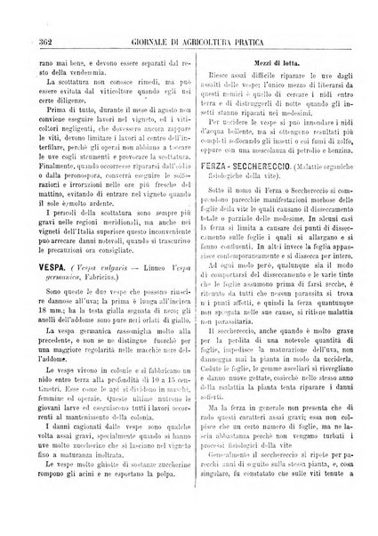 Giornale di agricoltura pratica organo ufficiale della Regia Stazione enologica sperimentale di Asti, della Regia Scuola di viticoltura, enologia e pomologia di Alba, della Regia Scuola agraria di Caluso e dei Comizi agrari di Asti e Alba