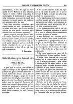 giornale/TO00185144/1896/unico/00000305