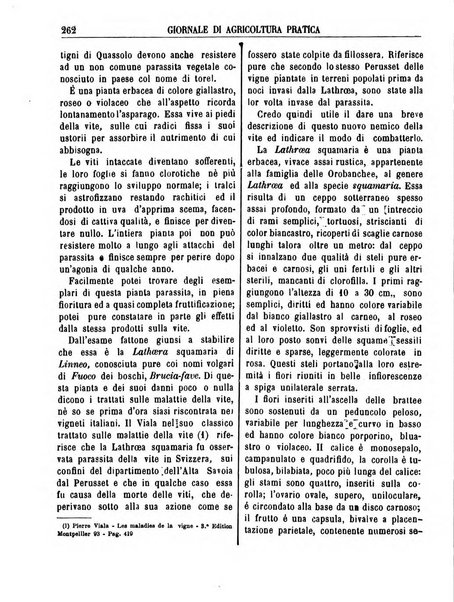 Giornale di agricoltura pratica organo ufficiale della Regia Stazione enologica sperimentale di Asti, della Regia Scuola di viticoltura, enologia e pomologia di Alba, della Regia Scuola agraria di Caluso e dei Comizi agrari di Asti e Alba