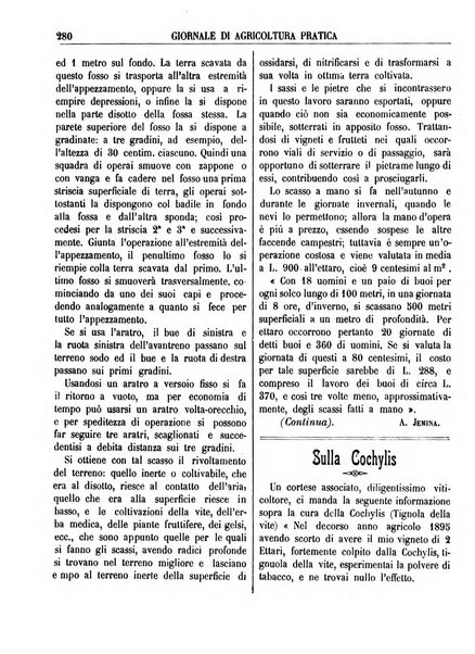 Giornale di agricoltura pratica organo ufficiale della Regia Stazione enologica sperimentale di Asti, della Regia Scuola di viticoltura, enologia e pomologia di Alba, della Regia Scuola agraria di Caluso e dei Comizi agrari di Asti e Alba