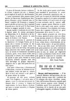 giornale/TO00185144/1896/unico/00000462