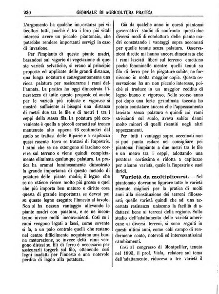 Giornale di agricoltura pratica organo ufficiale della Regia Stazione enologica sperimentale di Asti, della Regia Scuola di viticoltura, enologia e pomologia di Alba, della Regia Scuola agraria di Caluso e dei Comizi agrari di Asti e Alba