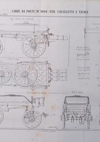 giornale/TO00185147/1872/unico/00000313