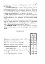 giornale/TO00185147/1883/unico/00000111