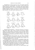 giornale/TO00185155/1924/v.5/00000607
