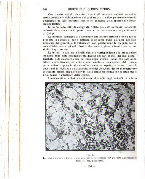 Giornale di clinica medica
