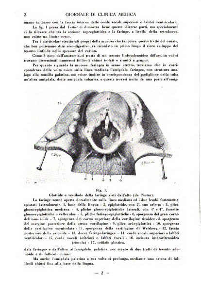 Giornale di clinica medica