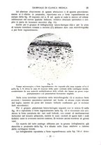 giornale/TO00185155/1940/v.21/00000027