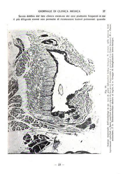 Giornale di clinica medica