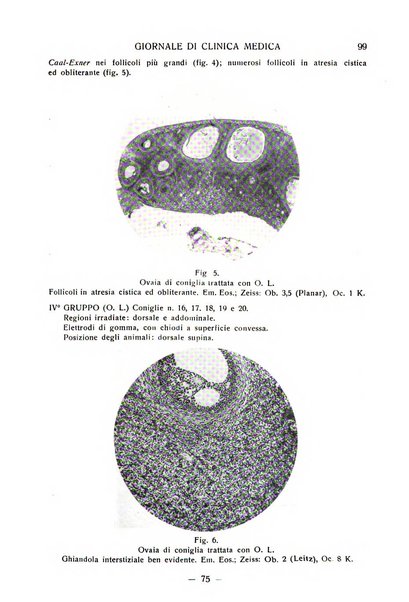 Giornale di clinica medica