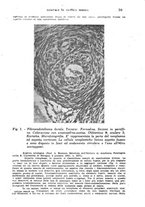 giornale/TO00185155/1945/v.26/00000049