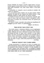 giornale/TO00185162/1894/unico/00000412