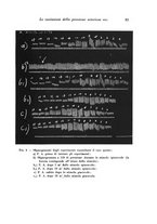 giornale/TO00185200/1935/unico/00000101