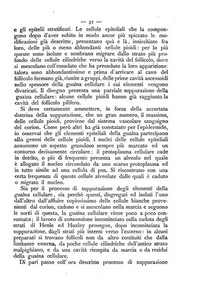 Giornale italiano delle malattie veneree e della pelle