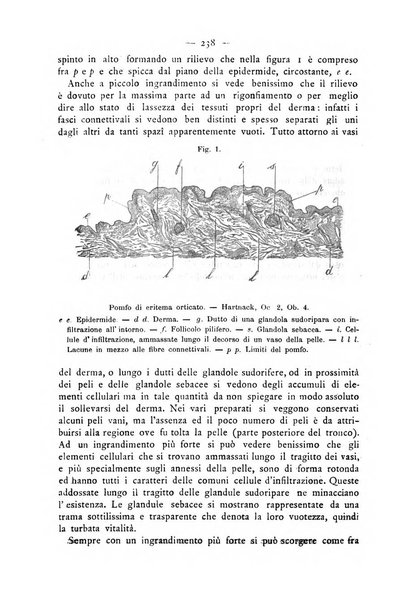 Giornale italiano delle malattie veneree e della pelle