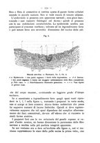 giornale/TO00185234/1884/unico/00000259