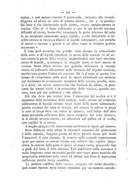 Giornale italiano delle malattie veneree e della pelle