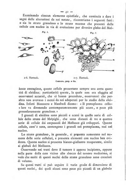 Giornale italiano delle malattie veneree e della pelle