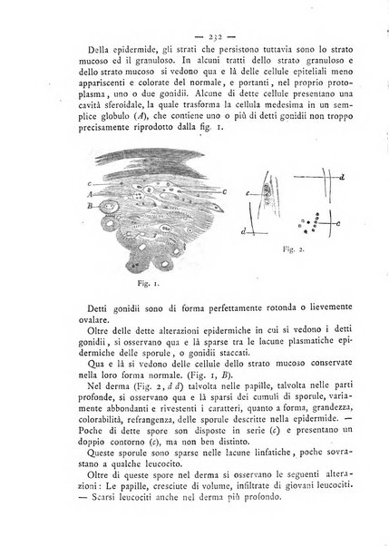 Giornale italiano delle malattie veneree e della pelle