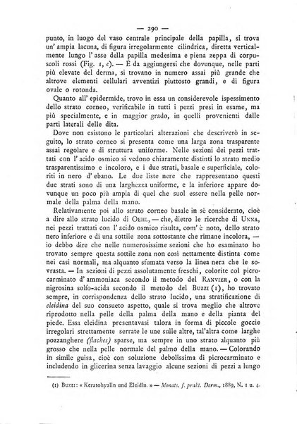 Giornale italiano delle malattie veneree e della pelle