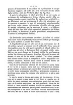 giornale/TO00185234/1894/unico/00000041