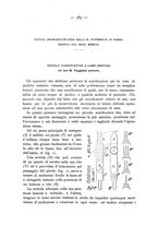 giornale/TO00185234/1895/unico/00000611