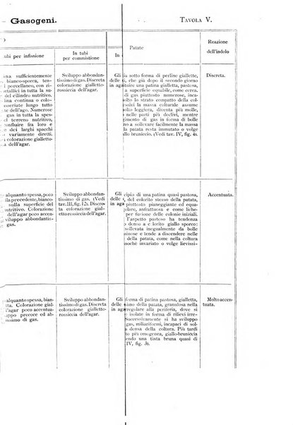 Giornale italiano delle malattie veneree e della pelle