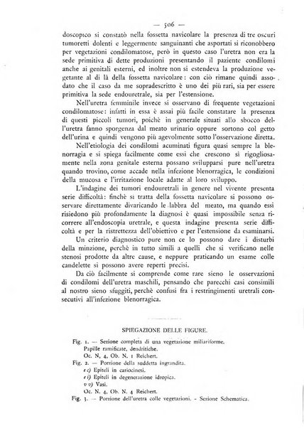 Giornale italiano delle malattie veneree e della pelle