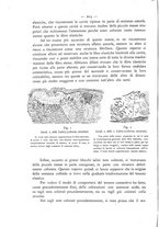 giornale/TO00185234/1899/unico/00000210