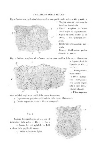 Giornale italiano delle malattie veneree e della pelle