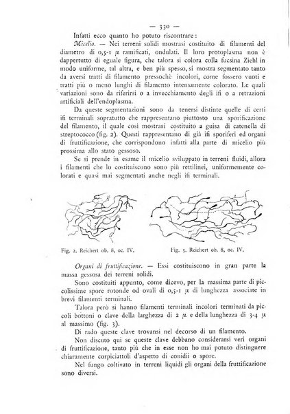 Giornale italiano delle malattie veneree e della pelle