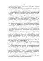 giornale/TO00185234/1905/unico/00000302