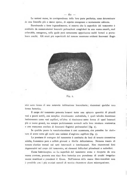 Giornale italiano delle malattie veneree e della pelle