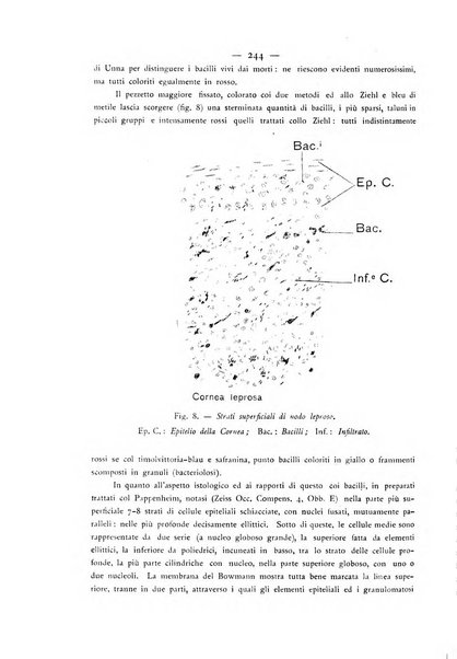 Giornale italiano delle malattie veneree e della pelle