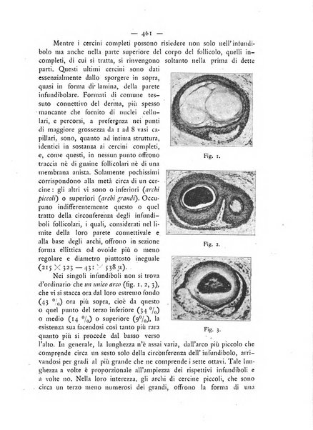 Giornale italiano delle malattie veneree e della pelle