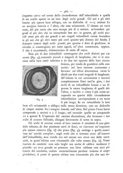 Giornale italiano delle malattie veneree e della pelle