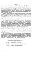 giornale/TO00185234/1922/unico/00000241